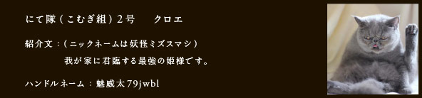 にて隊（こむぎ組）2号　 クロエ
紹介文：（ニックネームは妖怪ミズスマシ）
我が家に君臨する最強の姫様です。
ハンドルネーム：魅威太79jwbl