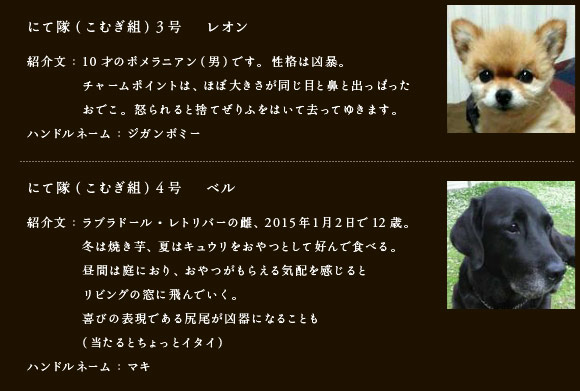 にて隊（こむぎ組）3号　 レオン
紹介文：0才のポメラニアン(男)です。性格は凶暴。
チャームポイントは、ほぼ大きさが同じ目と鼻と出っぱったおでこ。
怒られると捨てぜりふをはいて去ってゆきます。
ハンドルネーム：ジガンボミー
にて隊（こむぎ組）4号　 ベル
紹介文：ラブラドール・レトリバーの雌、2015年1月2日で12歳。
冬は焼き芋、夏はキュウリをおやつとして好んで食べる。
昼間は庭におり、おやつがもらえる気配を感じると
リビングの窓に飛んでいく。
喜びの表現である尻尾が凶器になることも
（当たるとちょっとイタイ）
ハンドルネーム：ジガンボミー