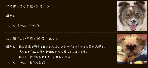 にて隊（こむぎ組）9号　ケン
紹介文： 
ハンドルネーム： ミーゴロ

にて隊（こむぎ組）10号　はるこ
紹介文：謎の言葉を発する食いしん坊。ストーブとコタツと人間が大好き。
犬らしからぬ表情や行動にいつも笑ってしまいます。
はること話せたら毎日もっと楽しいのに。
ハンドルネーム：お米のとぎ汁