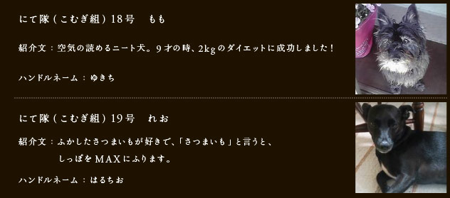 にて隊（こむぎ組）18号　もも
紹介文：空気の読めるニート犬。9才の時、2kgのダイエットに成功しました！
ハンドルネーム：ゆきち
にて隊（こむぎ組）19号　れお
紹介文：ふかしたさつまいもが好きで、「さつまいも」と言うと、
　　　　しっぽをMAXにふります。
ハンドルネーム：はるちお