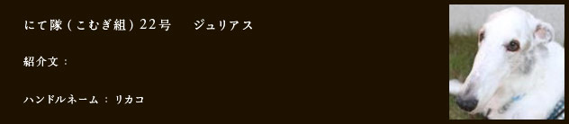 にて隊（こむぎ組）22号にて隊（こむぎ組）22号　 ジュリアス
紹介文：
ハンドルネーム：リカコ