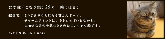 にて隊（こむぎ組）25号　晴（はる）
紹介文：もうじき9ケ月になる甘えんボーイ。
　　　　チャームポイントは、トトロっぽいおなかと、
　　　　大好きなさゆを飲むときのおじいちゃん顔です。
ハンドルネーム：nori