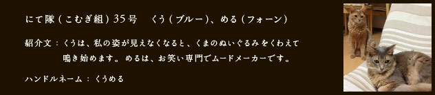 にて隊（こむぎ組）35号　くう（ブルー）、める（フォーン）
紹介文：くうは、私の姿が見えなくなると、くまのぬいぐるみをくわえて
鳴き始めます。めるは、お笑い専門でムードメーカーです。
ハンドルネーム：くうめる​