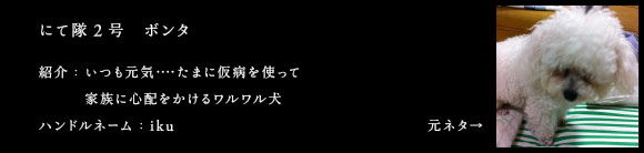 にて隊員2号 珠珠（桃妖） にて隊２号　ボンタ
紹介：いつも元気‥‥たまに仮病を使って
家族に心配をかけるワルワル犬
ハンドルネーム：iku