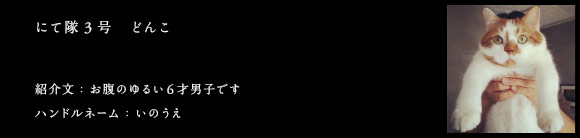 にて隊員3号 どんこ
紹介文：お腹のゆるい6才男子です
ハンドルネーム：いのうえ