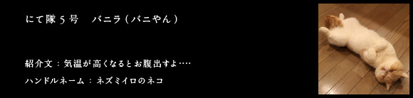 にて隊5号　バニラ（バニやん）
紹介文：気温が高くなるとお腹出すよ‥‥
ハンドルネーム：ネズミイロのネコ