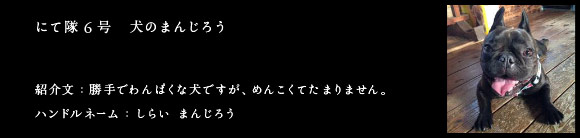 にて隊6号　犬のまんじろう　紹介文：勝手でわんぱくな犬ですが、めんこくてたまりません。　ハンドルネーム：しらい まんじろう