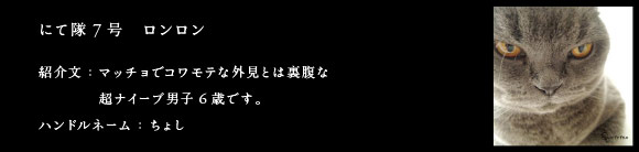 にて隊7号　ロンロン　紹介文：マッチョでコワモテな外見とは裏腹な超ナイーブ男子6歳です。　ハンドルネーム：ちょし