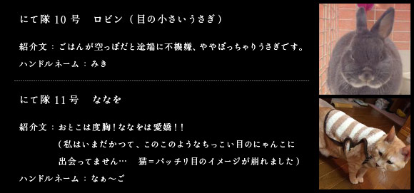 にて隊10号　ロビン（目の小さいうさぎ）　紹介文：ごはんが空っぽだと途端に不機嫌、ややぽっちゃりうさぎです。　ハンドルネーム：みき にて隊11号　ななを　紹介文：おとこは度胸！ななをは愛嬌！！（私はいまだかつて、このこのようなちっこい目のにゃんこに出会ってません・・猫＝パッチリ目のイメージが崩れました）　ハンドルネーム：なぁ～ご