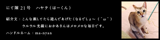 にて隊21号　ハヤテ（はーくん）
紹介文：こんな顔してたら遊んであげたくなるでしょ～（＾ω＾）ウルウル光線におかあさんはメロメロな毎日です。
ハンドルネーム：ma-nyan