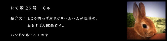 にて隊25号　らゃ
紹介文：ところ構わずガリガリハムハムが任務の、
　　　　おるすばん隊長です。
ハンドルネーム：おや