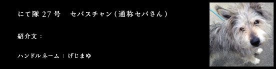 にて隊27号　セバスチャン（通称セバさん）
紹介文：
ハンドルネーム：げじまゆ