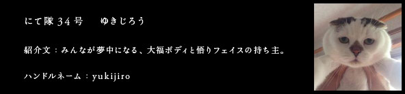 にて隊34号　ゆきじろう
紹介文：みんなが夢中になる、大福ボディと悟りフェイスの持ち主。
ハンドルネーム：yukijiro