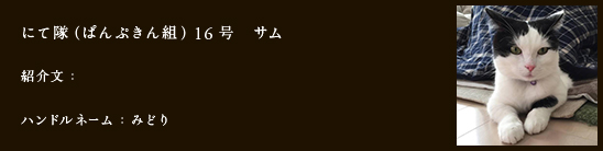 にて隊（ぱんぷきん組）16号　サム
紹介文：
ハンドルネーム：みどり