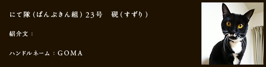 にて隊（ぱんぷきん組）23号　硯（すずり）
紹介文：
ハンドルネーム：GOMA