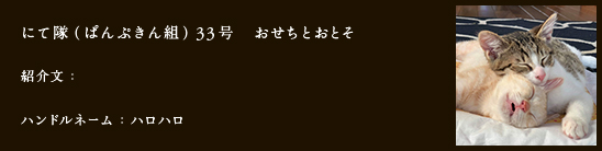 にて隊（ぱんぷきん組）33号　おせちとおとそ
紹介文：
ハンドルネーム：ハロハロ