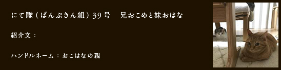 にて隊（ぱんぷきん組）39号　兄おこめと妹おはな
紹介文：
ハンドルネーム：おこはなの親