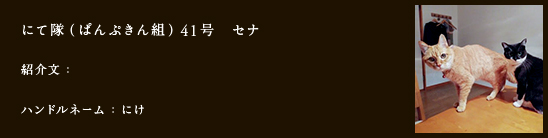 にて隊（ぱんぷきん組）41号　セナ
紹介文：
ハンドルネーム：にけ