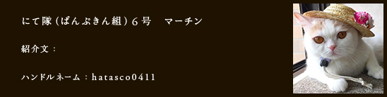 にて隊（ぱんぷきん組）6号　マーチン
紹介文：
ハンドルネーム：hatasco0411