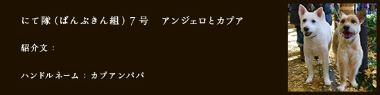 にて隊（ぱんぷきん組）7号　アンジェロとカプア
紹介文：
ハンドルネーム：hatasco0411