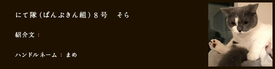 にて隊（ぱんぷきん組）8号　そら
紹介文：
ハンドルネーム：hatasco0411