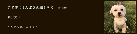 にて隊（ぱんぷきん組）9号　mow
紹介文：
ハンドルネーム：とこ