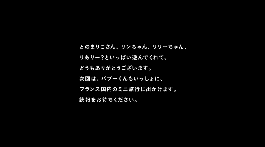 とのまりこさん、リンちゃん、リリーちゃん、
りありー？といっぱい遊んでくれて、
どうもありがとうございます。
次回は、バブーくんもいっしょに、
フランス国内のミニ旅行に出かけます。
続報をお待ちください。