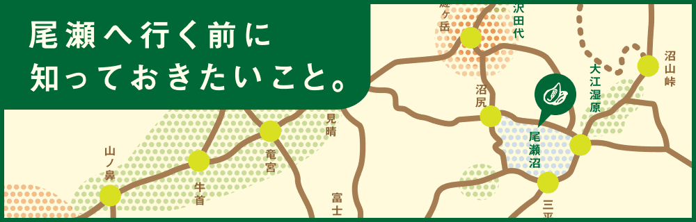尾瀬へ行く前に知っておきたいこと