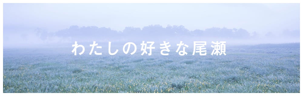 私の好きな尾瀬