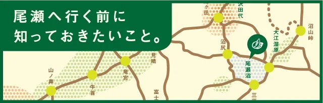 尾瀬ってどんな場所