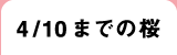 4/10までの桜