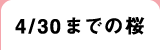 4/30までの桜