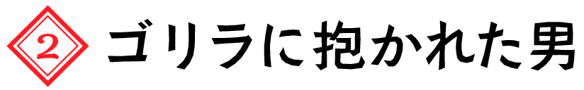 ゴリラの権威が総長に