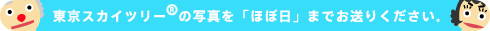 東京スカイツリーの写真を「ほぼ日」までお送りください。