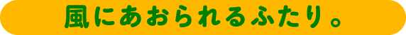 風にあおられるふたり。