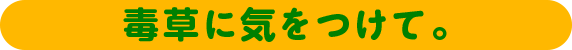 からくりノブトさん。