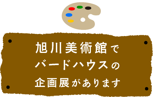 北海道立旭川美術館で、バードハウスの企画展があります