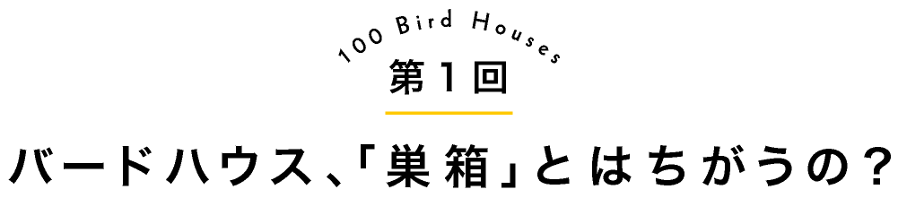 第１回バードハウス、「巣箱」とはちがうの？