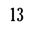 13