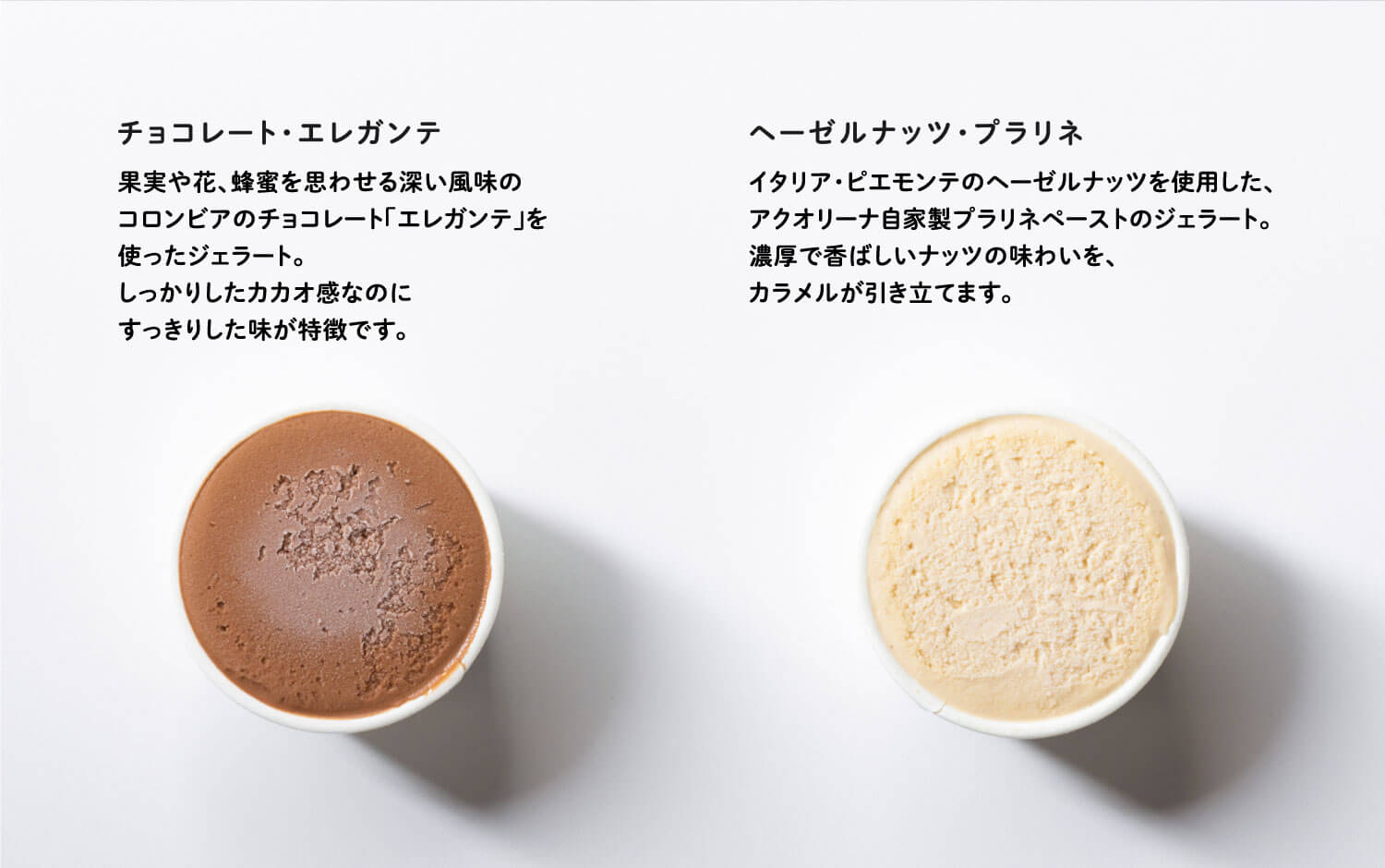 チョコレート・エレガンテ ヘーゼルナッツ・プラリネ