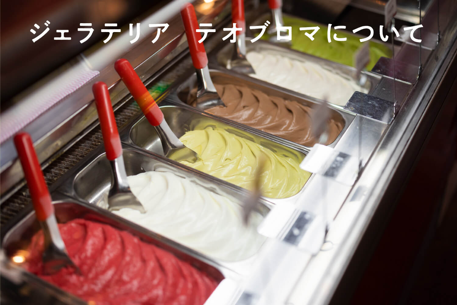 ジェラテリア　テオブロマについて