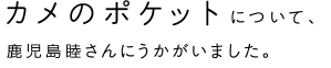 カメのポケットについて、鹿児島睦さんにうかがいました。