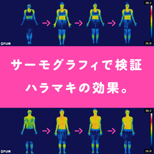 サーモグラフィで検証 ハラマキの効果。