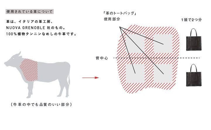 この革について