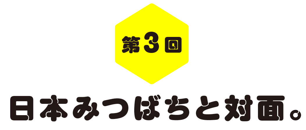 第３回　日本みつばちと対面。