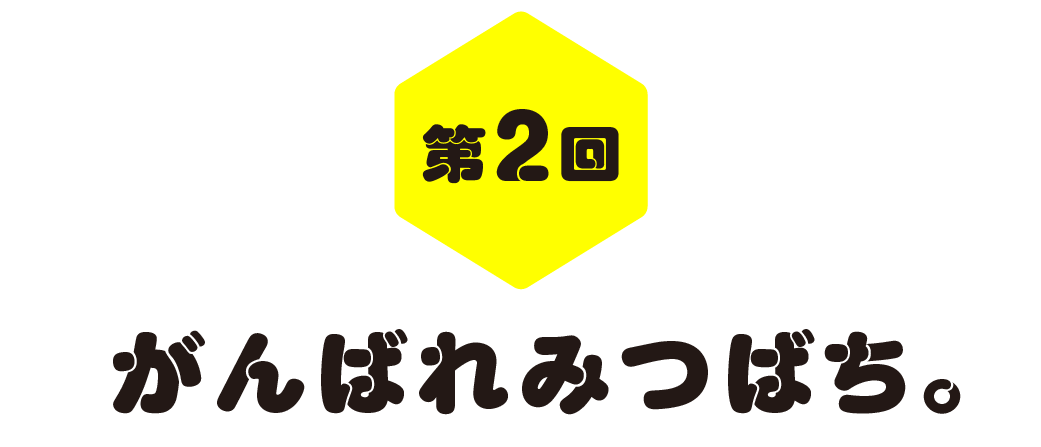 第２回　がんばれみつばち。