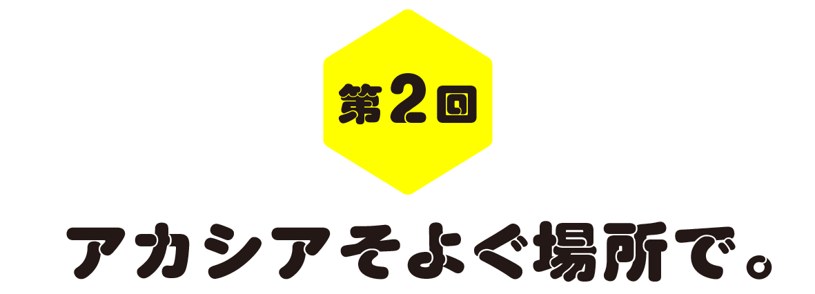 第２回　アカシアそよぐ場所で。