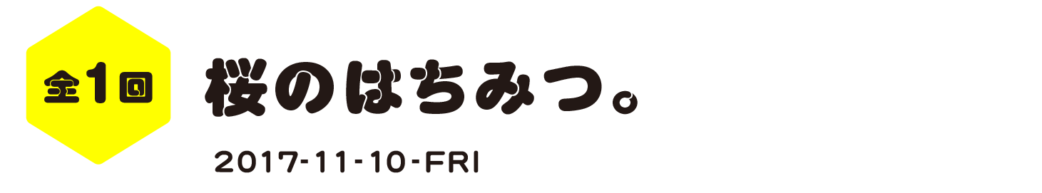 全１回　桜のはちみつ。