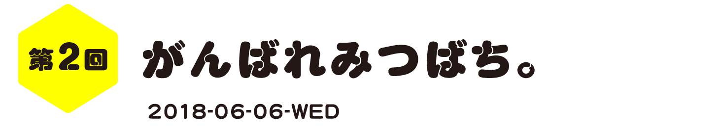 第２回　がんばれみつばち。