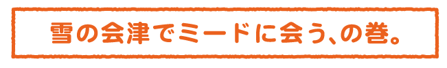 雪の会津でミードに会う、の巻。